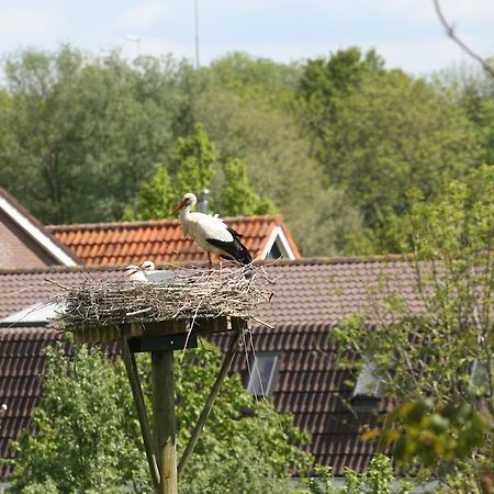 Bed & Breakfast 'Aan De Ijssel' Zwolle  Eksteriør bilde
