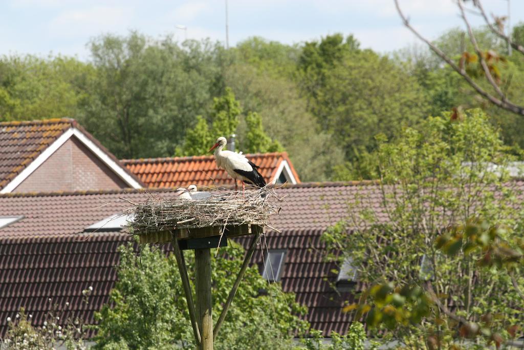 Bed & Breakfast 'Aan De Ijssel' Zwolle  Eksteriør bilde